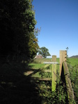 SX16704 Goodrich castle in distance past gate.jpg